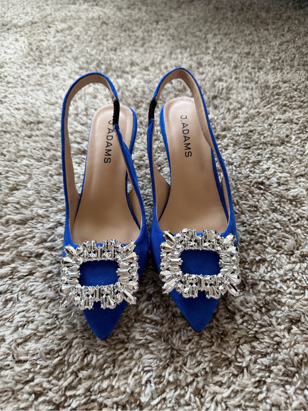Adams Blue Pointed Slingback Heels with Crystal Buckle - Picture 2 of 5